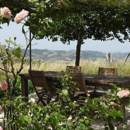 Casale Le Fontanelle Hotel Monte Grimano Terme Eksteriør billede