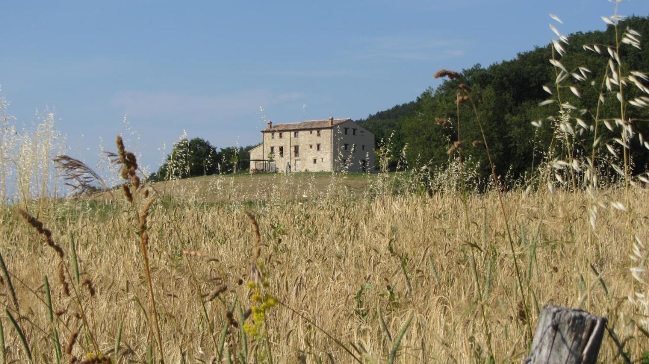 Casale Le Fontanelle Hotel Monte Grimano Terme Eksteriør billede