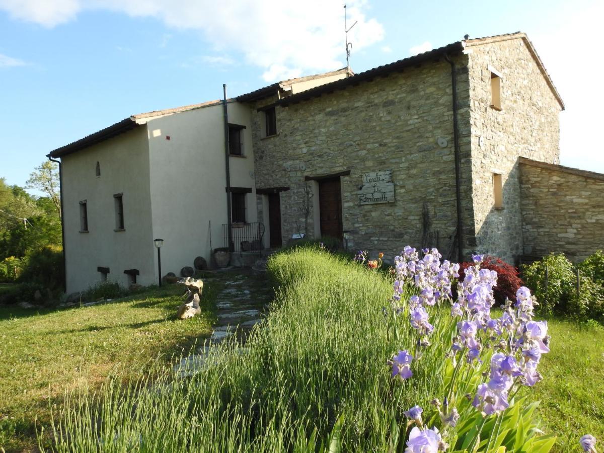 Casale Le Fontanelle Hotel Monte Grimano Terme Eksteriør billede